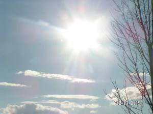 MINOLTA DIGITAL CAMERA